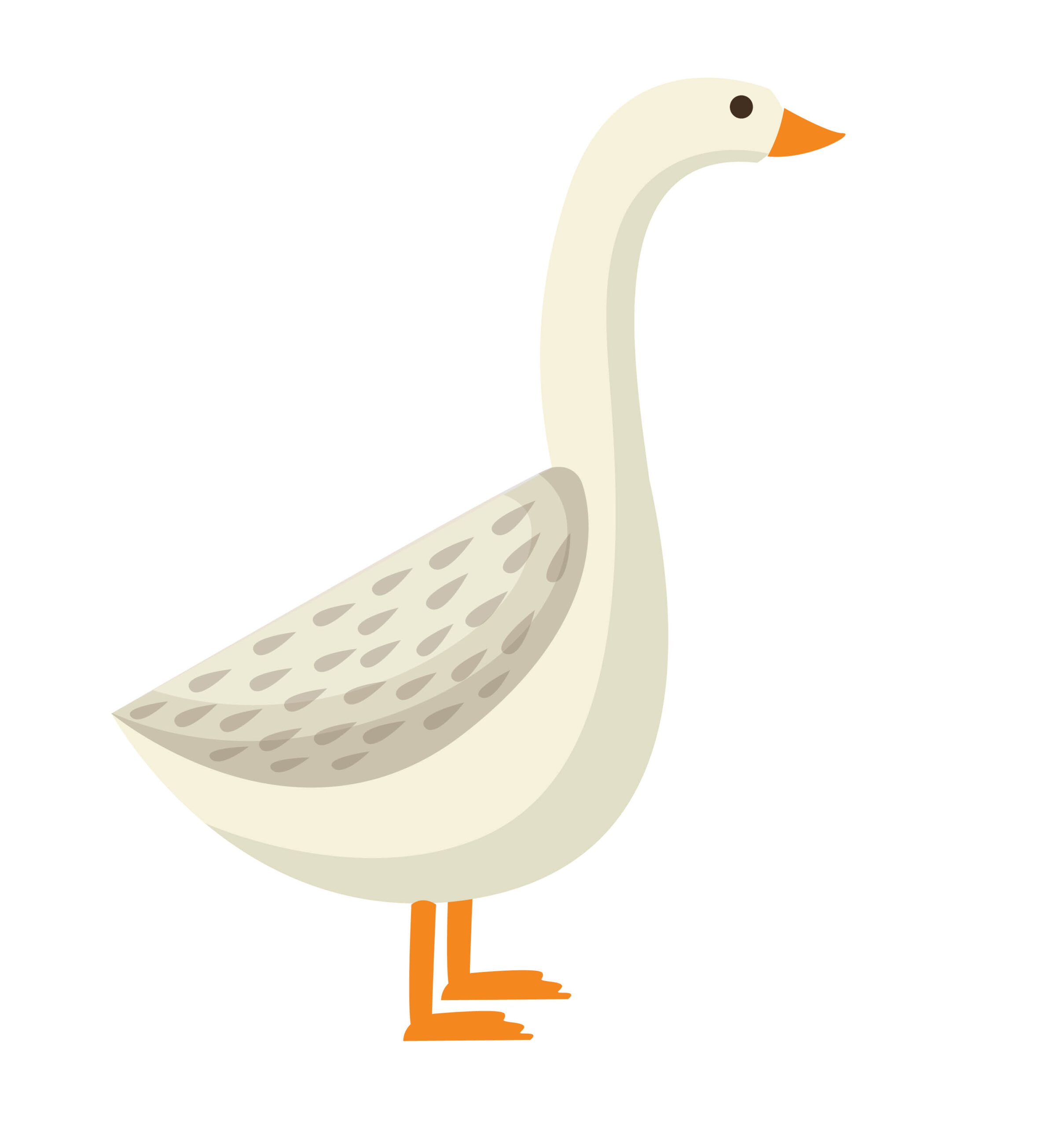 kaczkaa